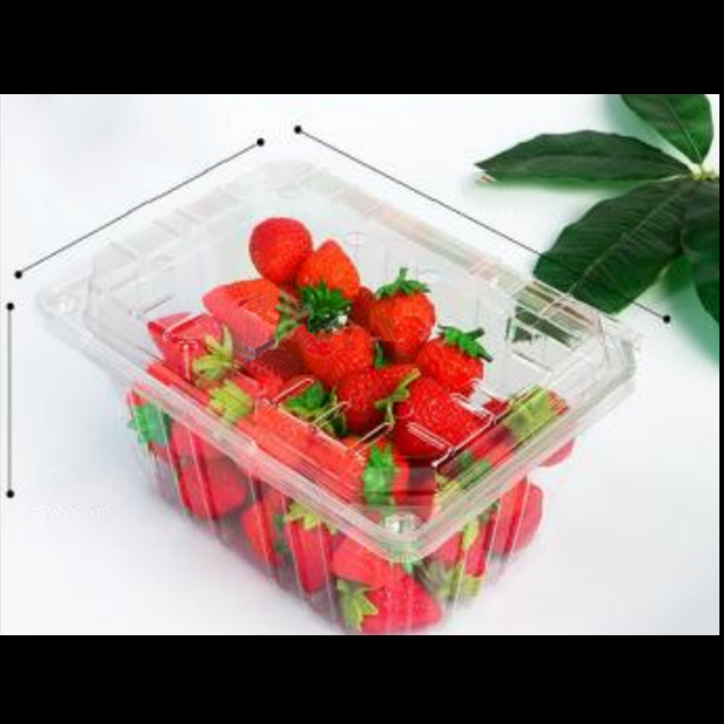 Плодова кутия с капак 210*155*100 mm Hgf-950a