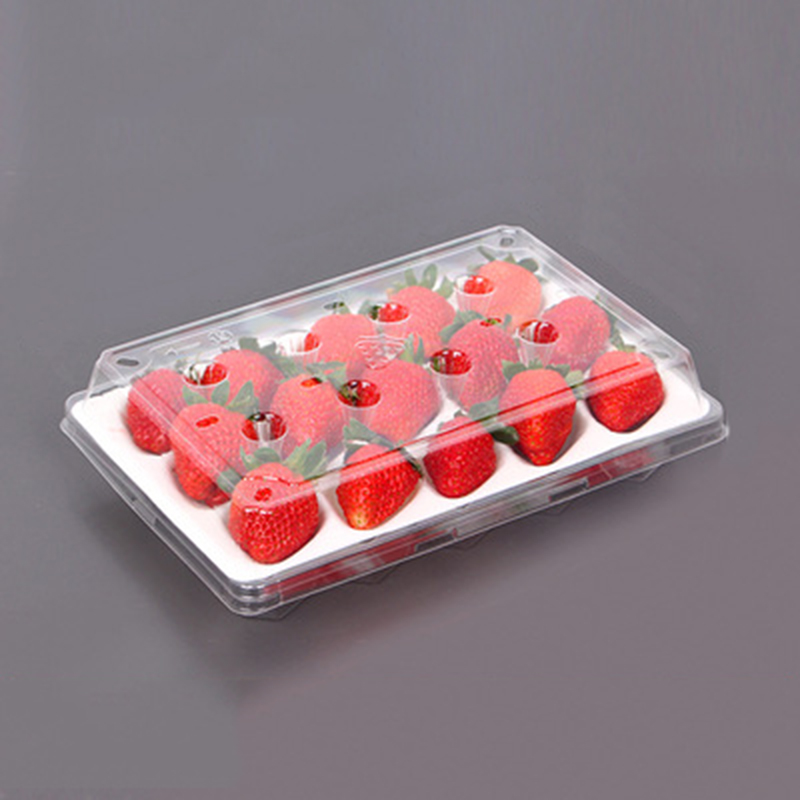 Ягодова кутия (15 ягоди) 225*120*40 mm cm-15