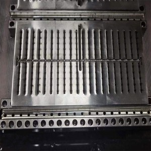 Мухъл от кухина