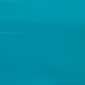 Патентна PU кожа