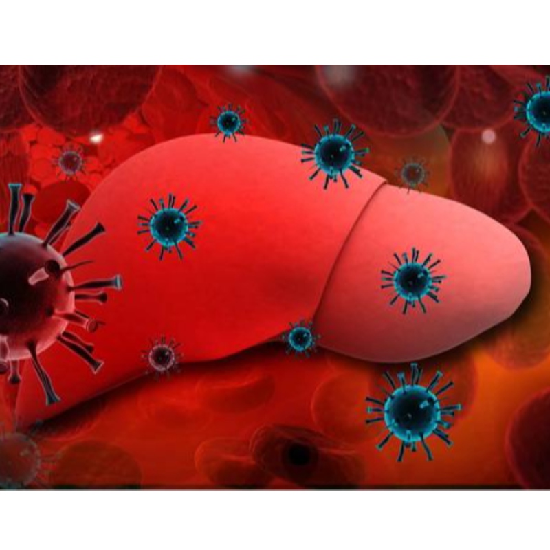 Университет в Парма: NMN подобрява хроничния хепатит Б