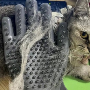 ръкавици за масаж