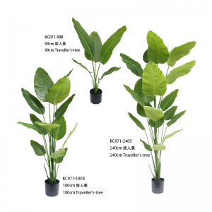 Дърво на пътниците