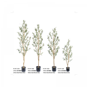 Оливър дърво