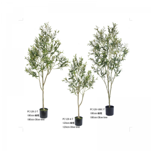 Оливър дърво Ⅱ