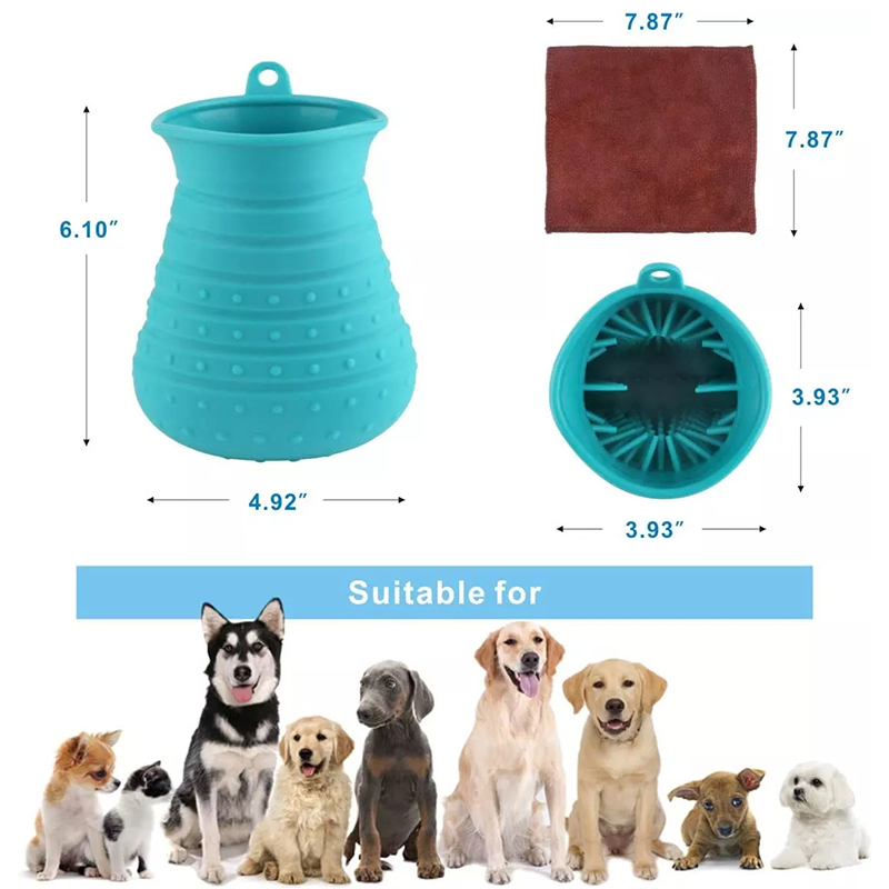 1646885309.jpg 1.jpg