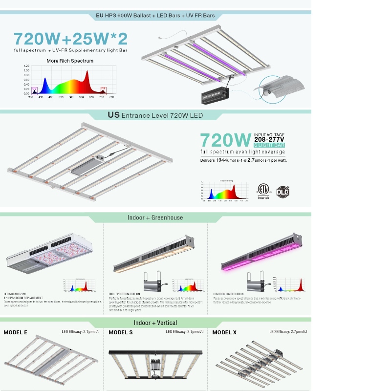 1703588371.jpg 2.jpg