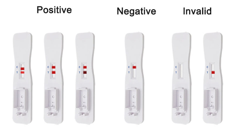 1615367137.jpg 6.jpg